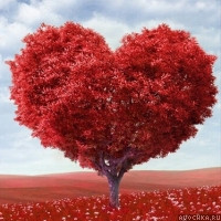Картинка с деревом в форме сердца