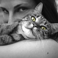 Черно-белое фото с девушкой с котом на плече