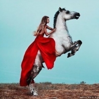 Картинка с девушкой на белой лошади