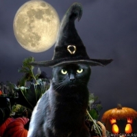 Картинка на тему Хэллоуина с котом в шляпе