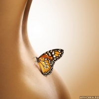 Бабочка на спине девушки