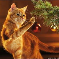 Картинка с рыжим котом возле новогодней елки