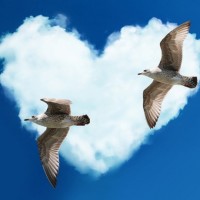 Романтическое фото с облаком в виде сердца и летающими птицами