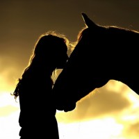 Силуэт девушки с лошадью
