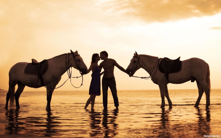 Картинка 900x563 | Картинка с парнем и девушкой, стоящими рядом с лошадями | Животные, Любовь, Силуэты, фото