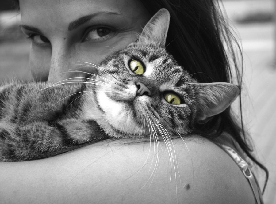 Картинка 900x666 | Черно-белое фото с девушкой с котом на плече | Животные, Девушки, фото