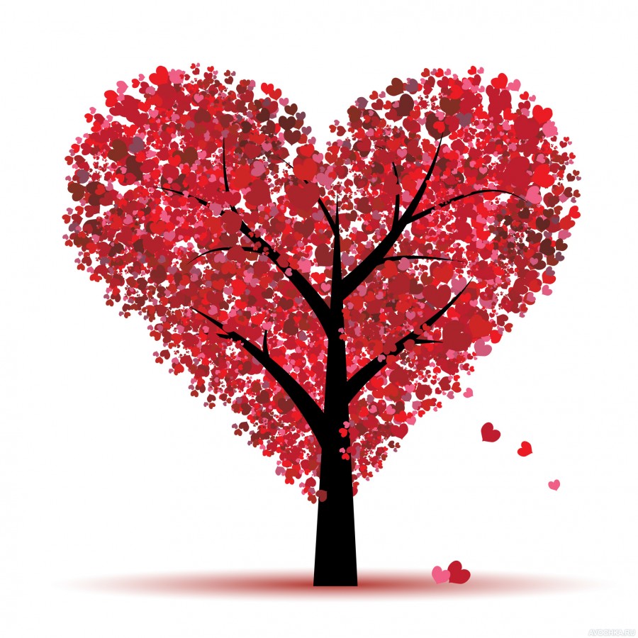 Картинка 900x900 | Картинка с деревом в виде сердца | Любовь, фото
