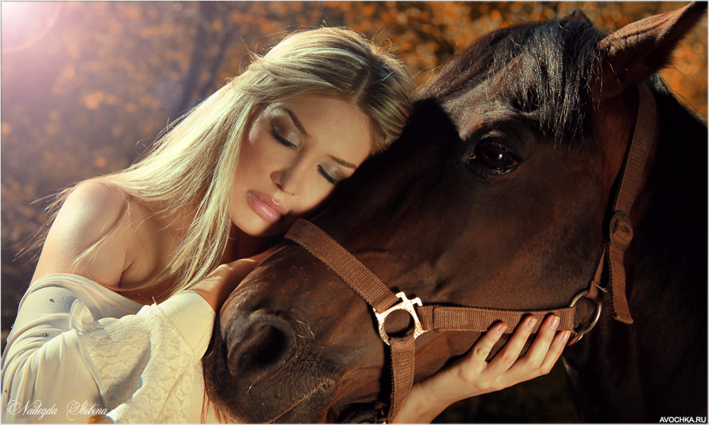 Картинка 1000x599 | Фото с девушкой с лошадью | Животные, Девушки, фото
