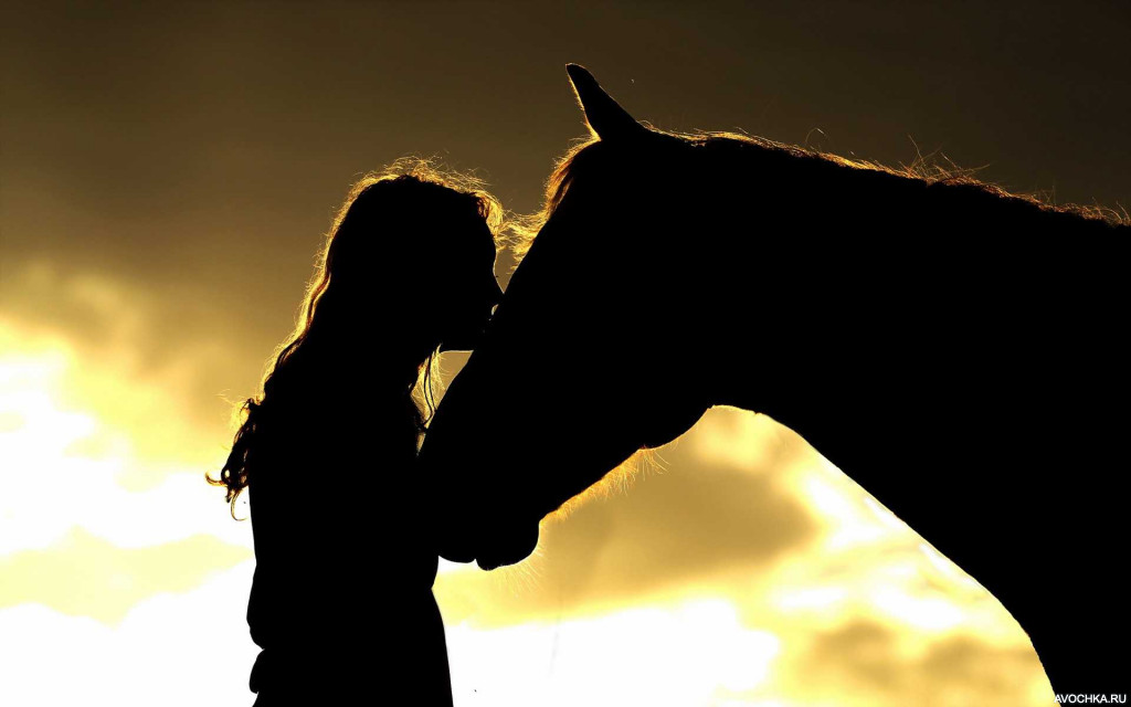 Картинка 1024x640 | Силуэт девушки с лошадью | Животные, Девушки, Силуэты, фото