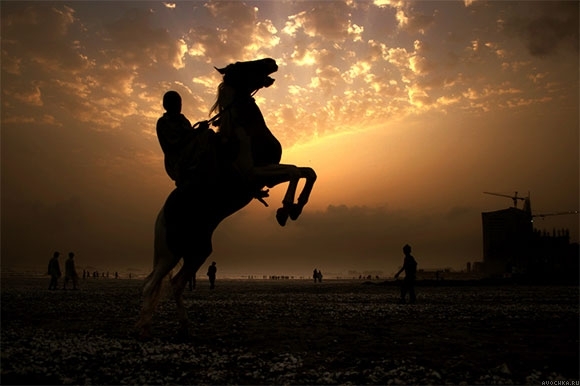 Картинка 580x386 | Картинка с силуэтом всадника на коне | Животные, Силуэты, фото